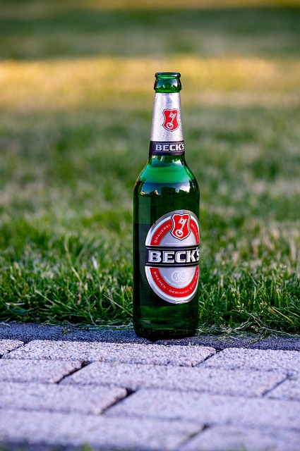 Technical Proposals and Bids