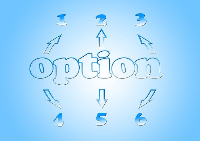 Technical Proposals and Bids