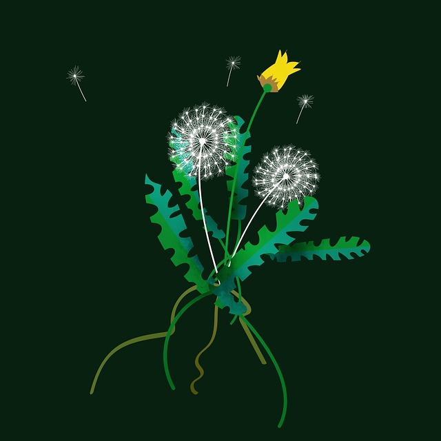 Vaccine Information Sheets