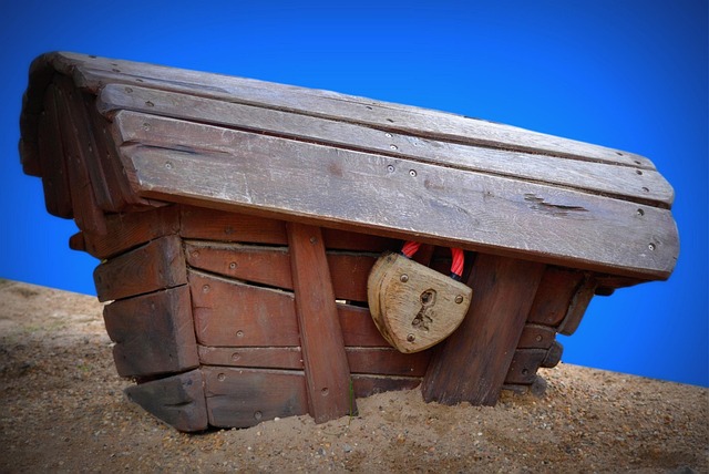 Cash Management and Treasury Reports