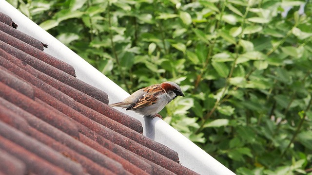 Clinical Trial Reports