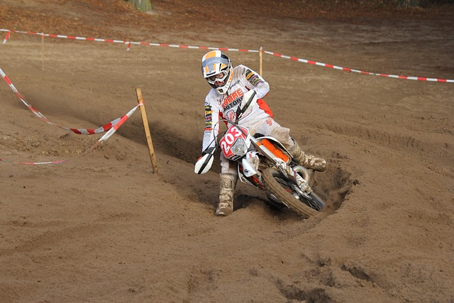 Clinical Trial Reports