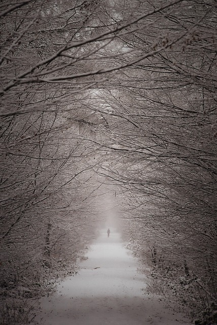 Clinical Trial Reports