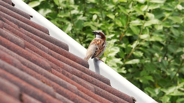 Clinical Trial Reports