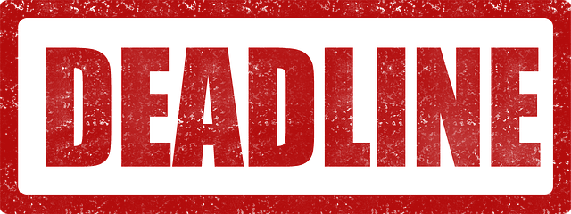 Due Diligence Reports