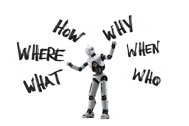 Due Diligence Reports