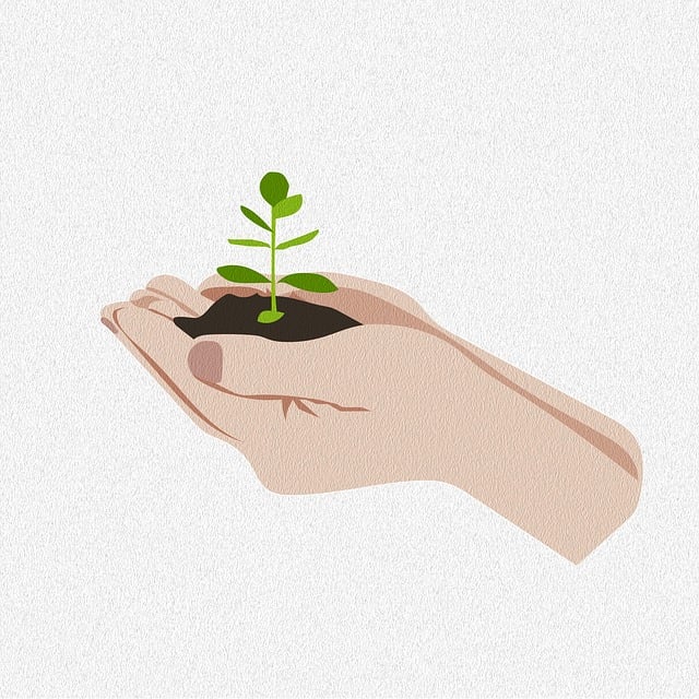 Engineering Drawings and Schematics