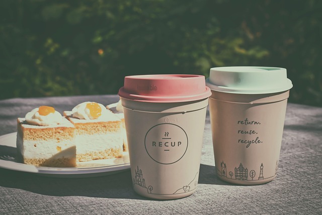 Environmental Impact Assessments