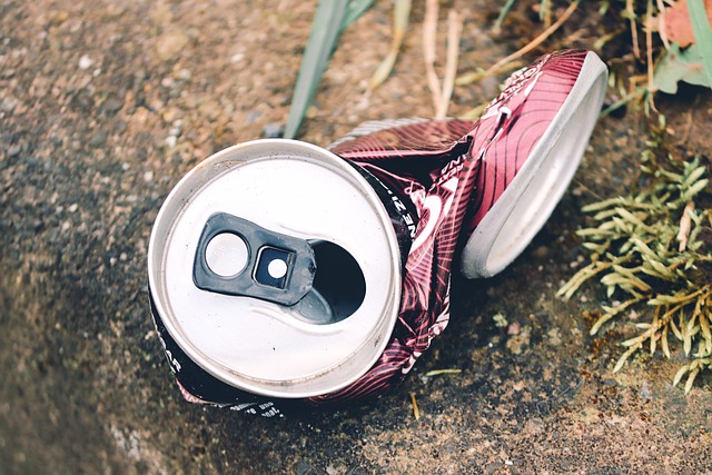 Environmental Impact Assessments