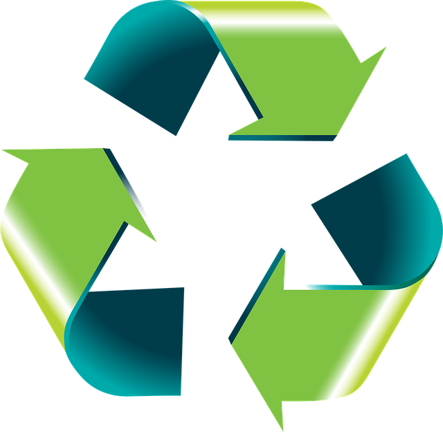 Environmental Impact Assessments