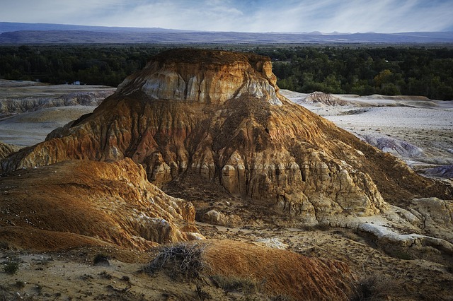 Environmental Impact Assessments