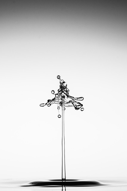 Environmental Impact Assessments