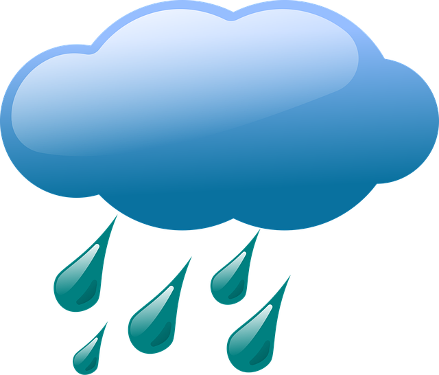 Financial Forecasts and Projections