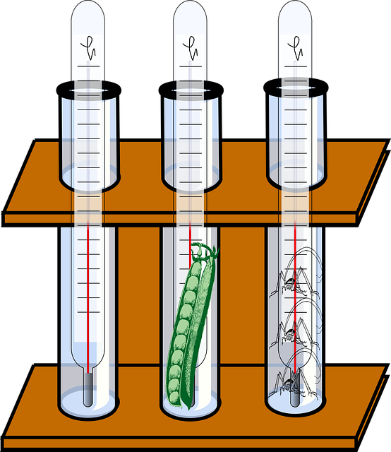 Grant Proposals for Scientific Research