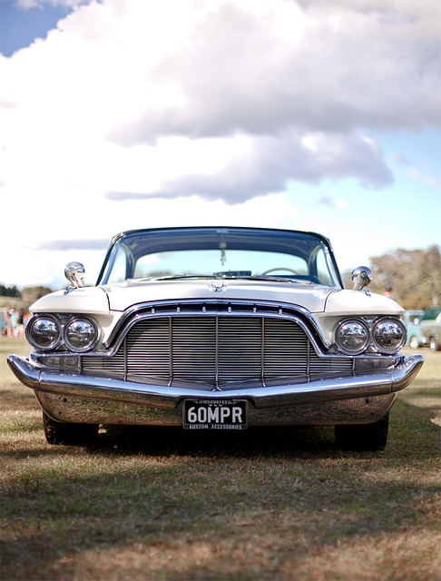 Licenses and Permits