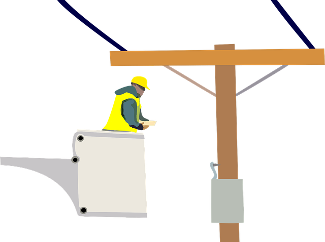 Maintenance and Service Manuals