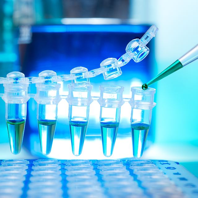 Physician’s Treatment Plans