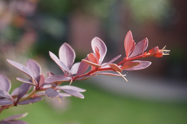 Product Information Leaflets