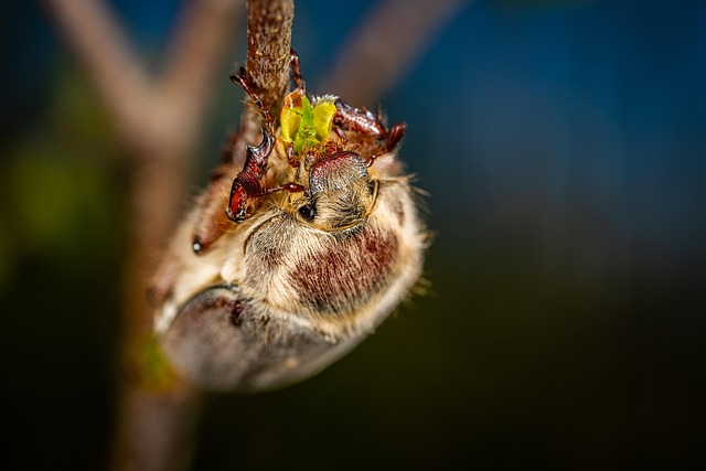 Product Information Leaflets