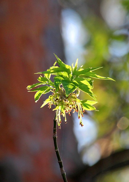 Product Information Leaflets