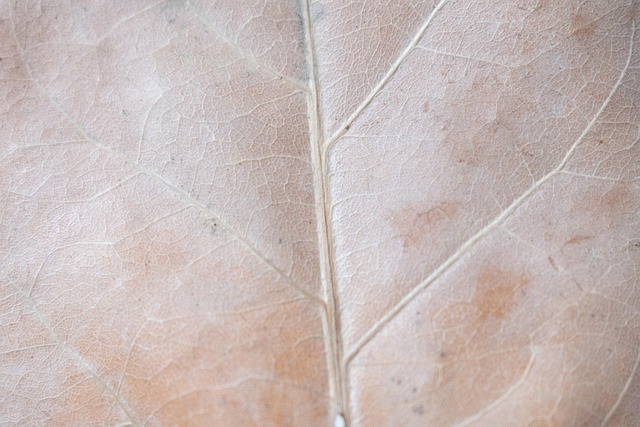 Product Specification Sheets