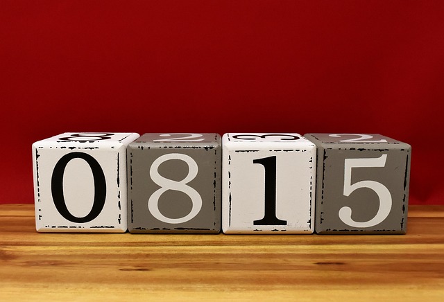 Profit and Loss Statements