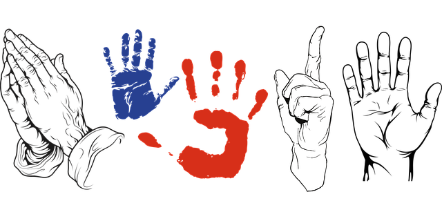 Regulatory Documents for Drug Approval