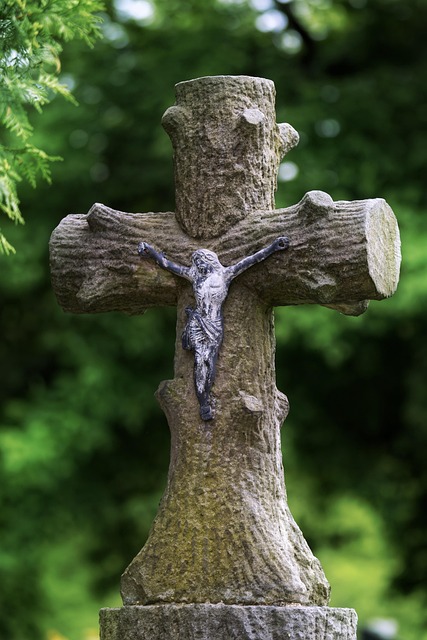 Scientific Review Articles