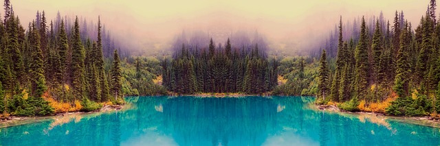 Scientific Review Articles