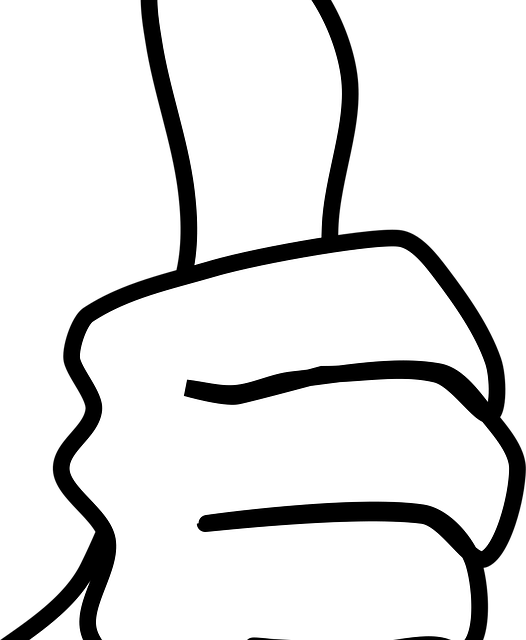 Shareholder Agreements