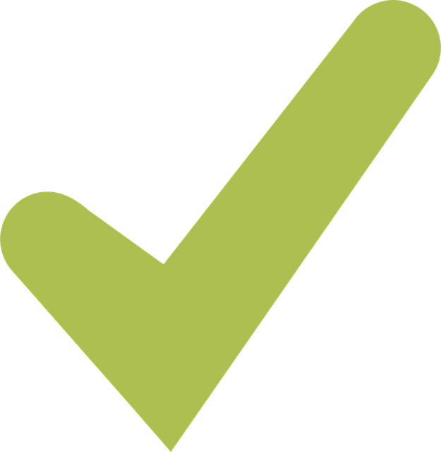 Shareholder Agreements