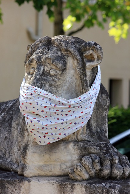 Surgical Procedure Instructions