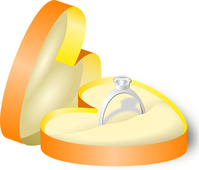 Technical Proposals and Bids