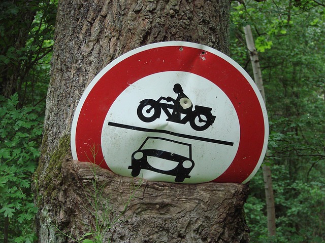 Technical Proposals and Bids