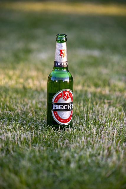 Technical Proposals and Bids