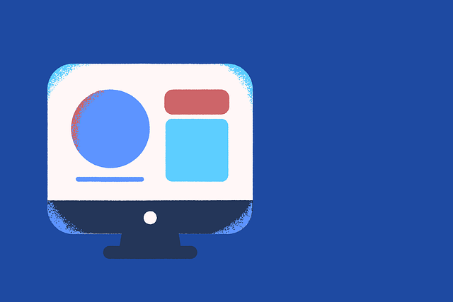 User Manuals and Instruction Guides