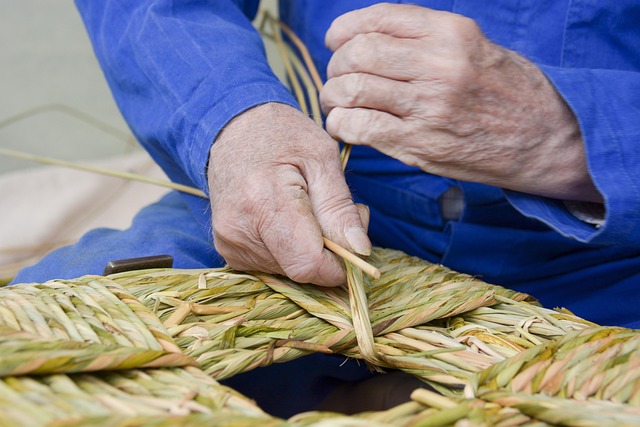 User Manuals and Instruction Guides