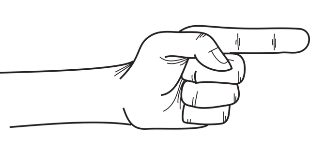 User Manuals and Instruction Guides