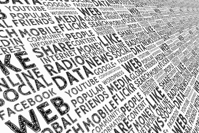 Ensuring UK Vaccine Sheet Accuracy via Translation Services