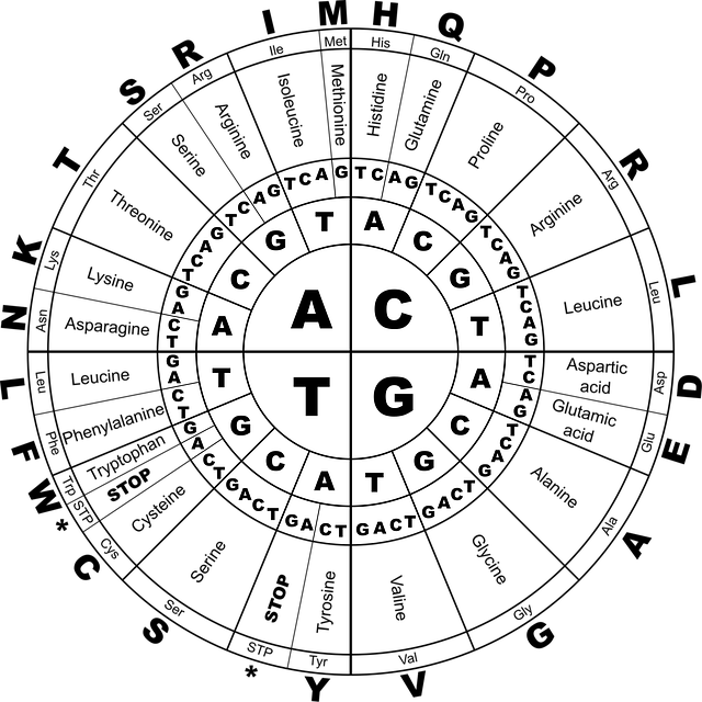 Code of Conduct and Ethics