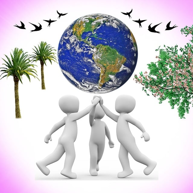 Contracts and Agreements