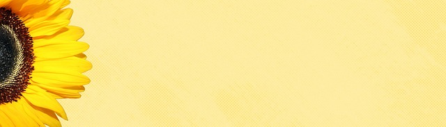 Corporate Bylaws and Articles of Incorporation