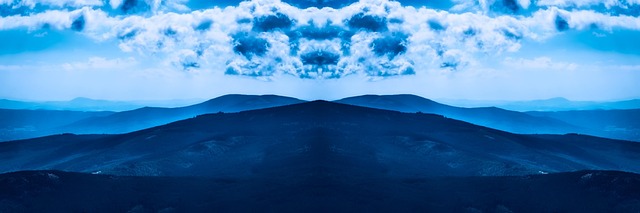 Corporate Bylaws and Articles of Incorporation