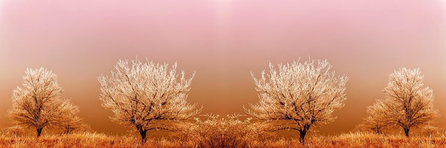 Corporate Bylaws and Articles of Incorporation