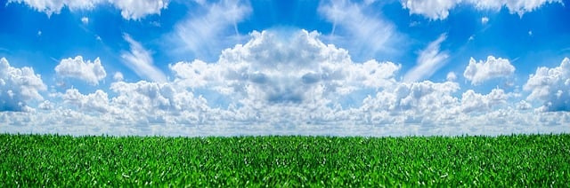 Corporate Bylaws and Articles of Incorporation