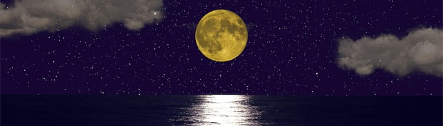 Corporate Bylaws and Articles of Incorporation