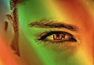 Elevate Learning: Accurate Course Descriptions & Syllabi Translations