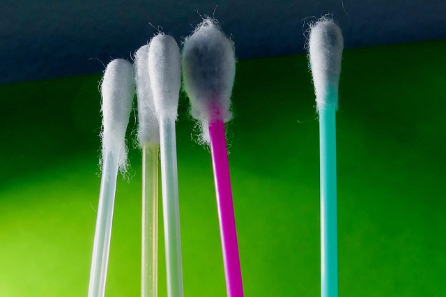 Environmental and Social Responsibility Reports