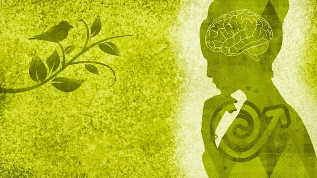 Environmental and Social Responsibility Reports