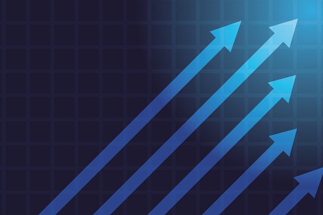 Financial Audit Reports